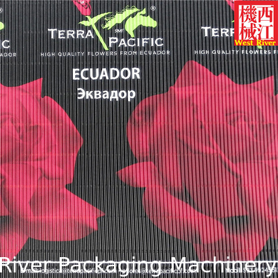 Waterproof Cardboard Making Machine Complete Corrugators Equipment Water Proof Agent Application