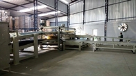 Swing Conveyor Stacker | PLC control | Auto Counting output | Connect with Cardbaord Logistics System Auto Strapping